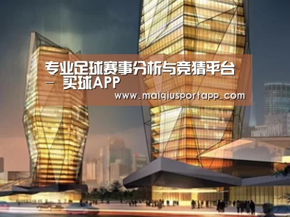 案例展示三