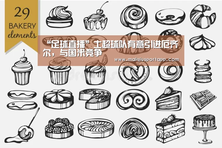 体育买球app官网