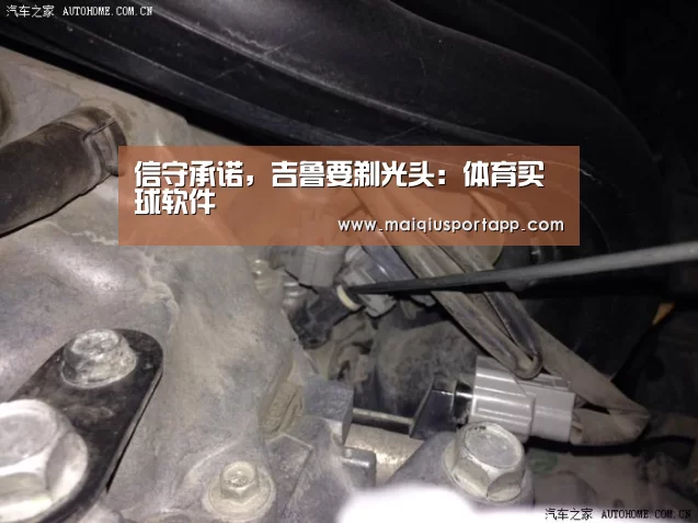 体育买球app官网