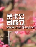 体育买球软件