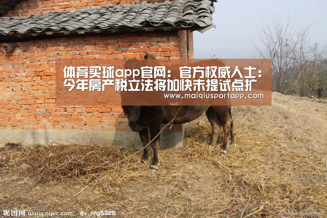 体育买球app官网:官方权威人士:今年房产税立法将加快未提试点扩围(图1) 体育买球app