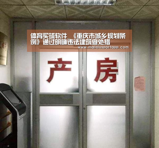体育买球软件
